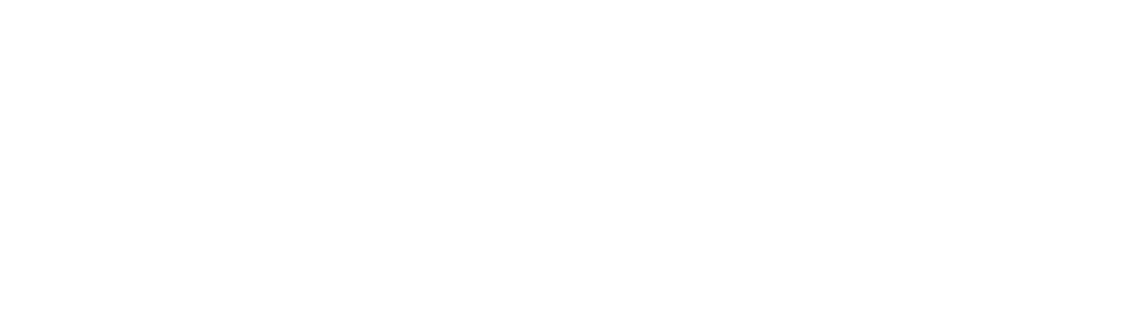 Software: Nemsys Logo